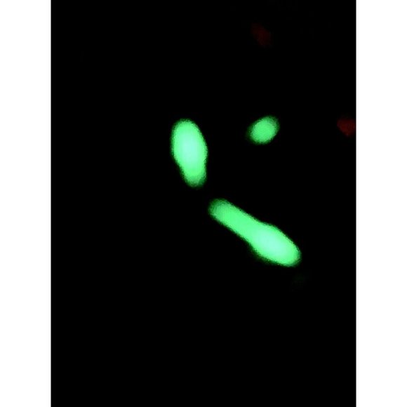 Invicta Women's Watch 24427 Subaqua Silver Tone Stainless Quartz MOP White Dial - Picture 6 of 12